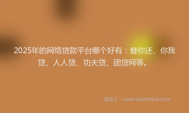 2025年的网络贷款平台哪个好有：替你还、你我贷、人人贷、功夫贷、团贷网等。