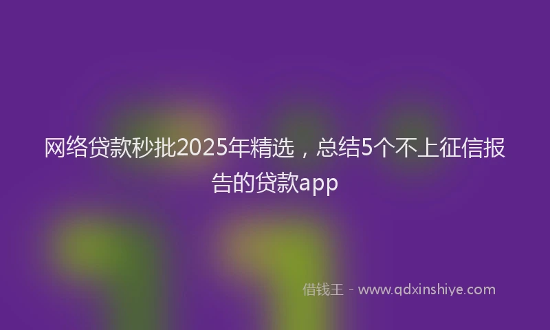 网络贷款秒批2025年精选，总结5个不上征信报告的贷款app