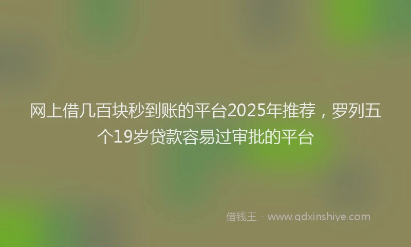 网上借几百块秒到账的平台2025年推荐，罗列五个19岁贷款容易过审批的平台