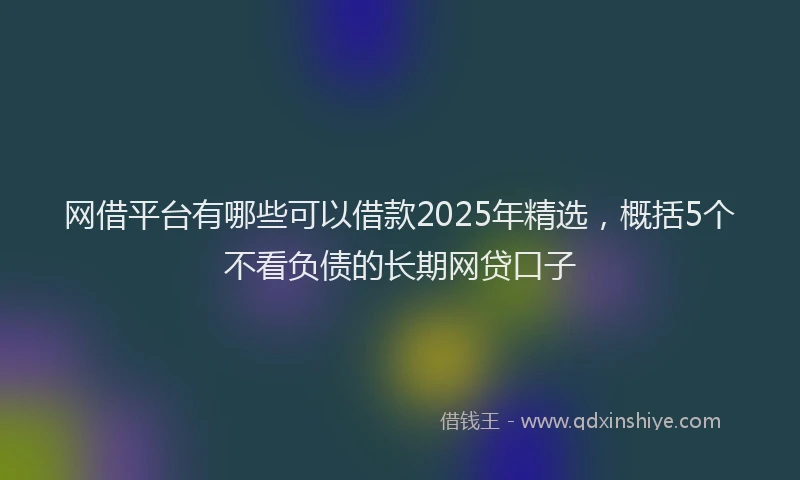 网借平台有哪些可以借款2025年精选，概括5个不看负债的长期网贷口子