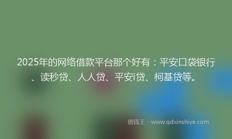 2025年的网络借款平台那个好有：平安口袋银行、读秒贷、人人贷、平安i贷、柯基贷等。