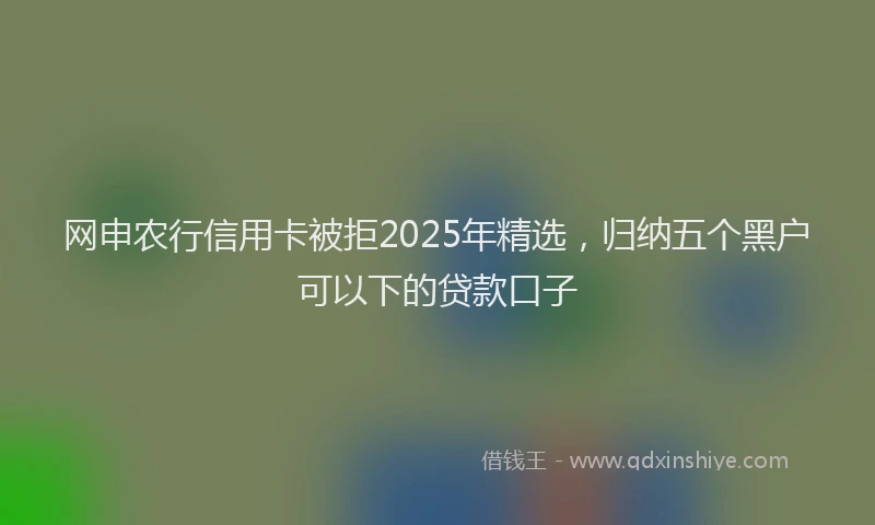 网申农行信用卡被拒2025年精选，归纳五个黑户可以下的贷款口子