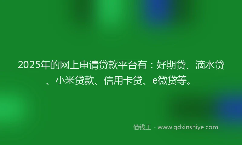 2025年的网上申请贷款平台有：好期贷、滴水贷、小米贷款、信用卡贷、e微贷等。