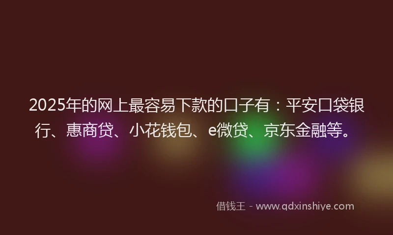 2025年的网上最容易下款的口子有：平安口袋银行、惠商贷、小花钱包、e微贷、京东金融等。
