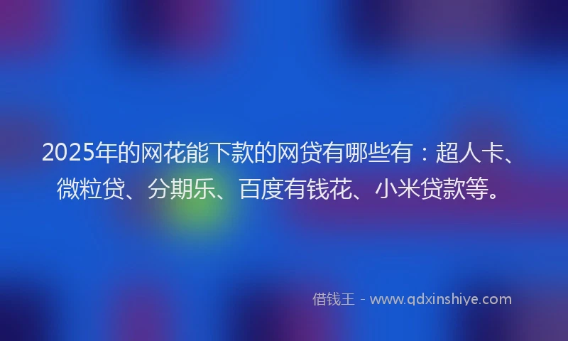 2025年的网花能下款的网贷有哪些有：超人卡、微粒贷、分期乐、百度有钱花、小米贷款等。