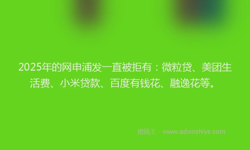 2025年的网申浦发一直被拒有:微粒贷、美团生活费、小米贷款、百度有钱花、融逸花等。