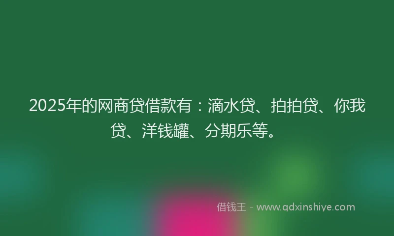 2025年的网商贷借款有：滴水贷、拍拍贷、你我贷、洋钱罐、分期乐等。