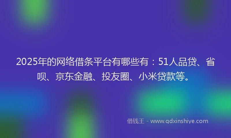 2025年的网络借条平台有哪些有：51人品贷、省呗、京东金融、投友圈、小米贷款等。