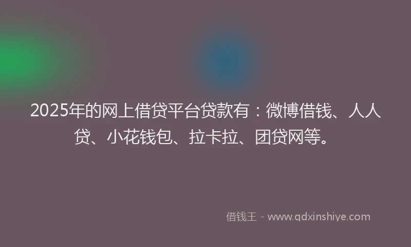 2025年的网上借贷平台贷款有：微博借钱、人人贷、小花钱包、拉卡拉、团贷网等。