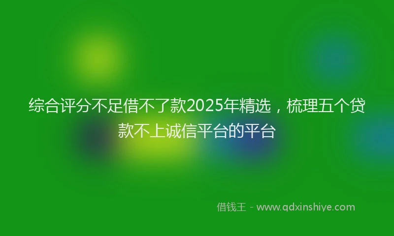综合评分不足借不了款2025年精选，梳理五个贷款不上诚信平台的平台