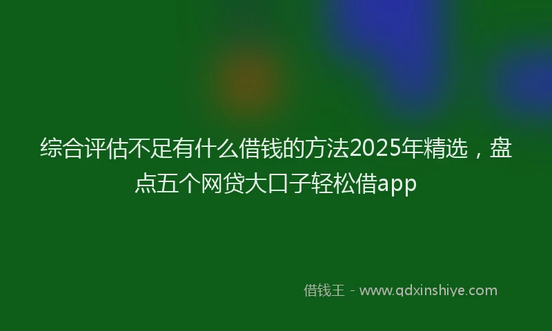 综合评估不足有什么借钱的方法2025年精选，盘点五个网贷大口子轻松借app