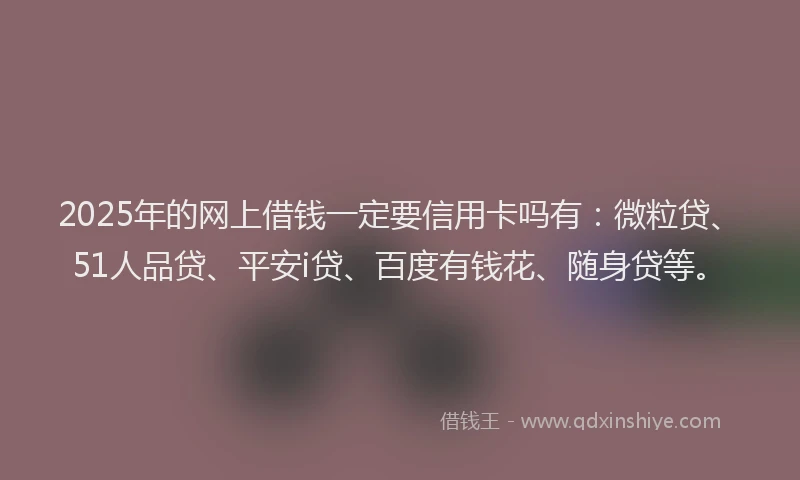 2025年的网上借钱一定要信用卡吗有：微粒贷、51人品贷、平安i贷、百度有钱花、随身贷等。