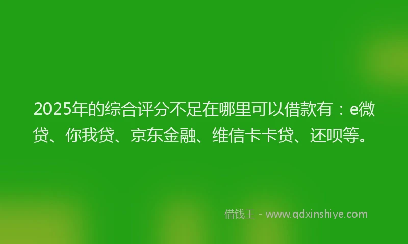 2025年的综合评分不足在哪里可以借款有：e微贷、你我贷、京东金融、维信卡卡贷、还呗等。