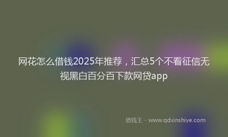 网花怎么借钱2025年推荐，汇总5个不看征信无视黑白百分百下款网贷app