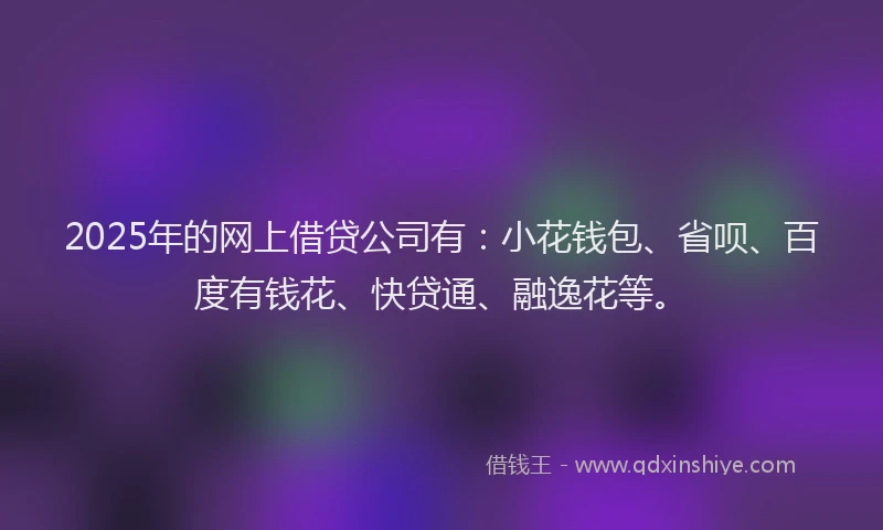 2025年的网上借贷公司有：小花钱包、省呗、百度有钱花、快贷通、融逸花等。