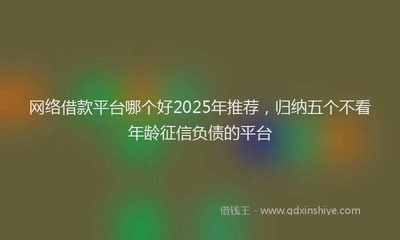网络借款平台哪个好2025年推荐，归纳五个不看年龄征信负债的平台