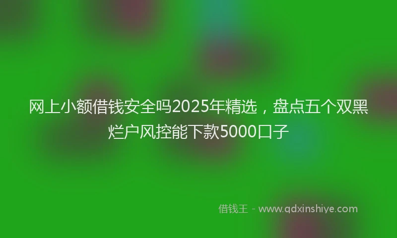 网上小额借钱安全吗2025年精选，盘点五个双黑烂户风控能下款5000口子