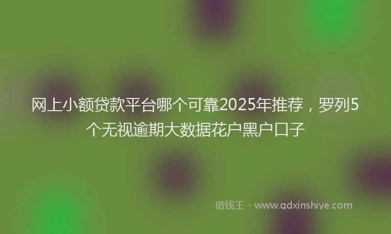 网上小额贷款平台哪个可靠2025年推荐，罗列5个无视逾期大数据花户黑户口子