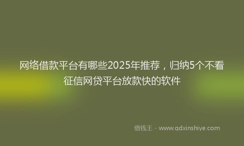 网络借款平台有哪些2025年推荐，归纳5个不看征信网贷平台放款快的软件