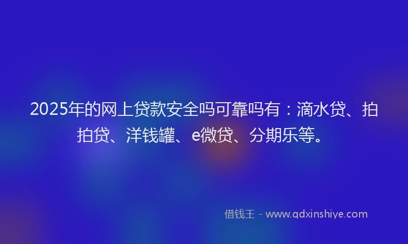 2025年的网上贷款安全吗可靠吗有：滴水贷、拍拍贷、洋钱罐、e微贷、分期乐等。