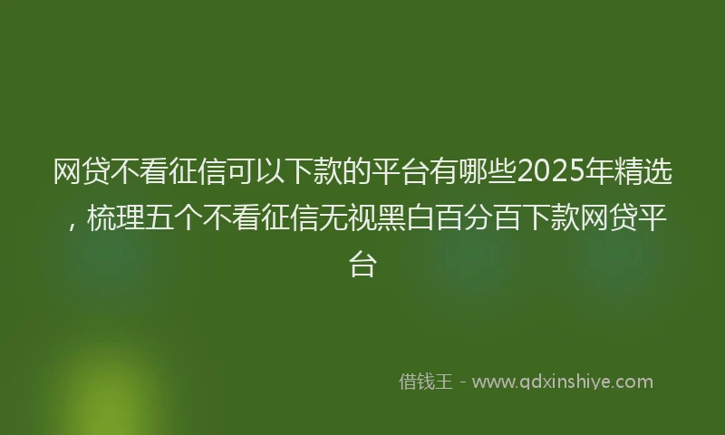 网贷不看征信可以下款的平台有哪些2025年精选，梳理五个不看征信无视黑白百分百下款网贷平台