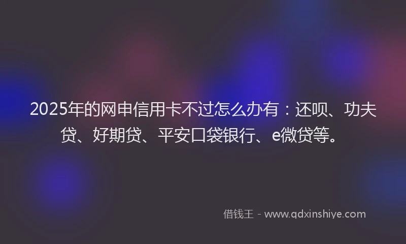 2025年的网申信用卡不过怎么办有：还呗、功夫贷、好期贷、平安口袋银行、e微贷等。