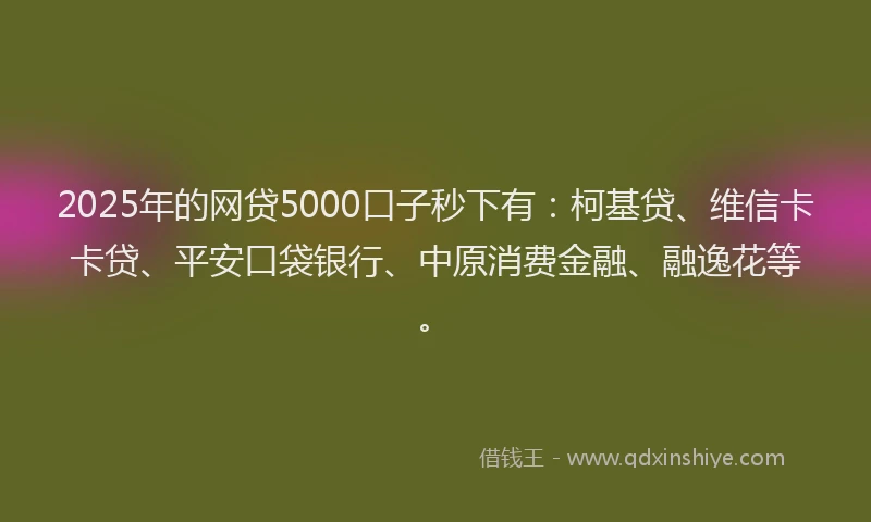 2025年的网贷5000口子秒下有：柯基贷、维信卡卡贷、平安口袋银行、中原消费金融、融逸花等。