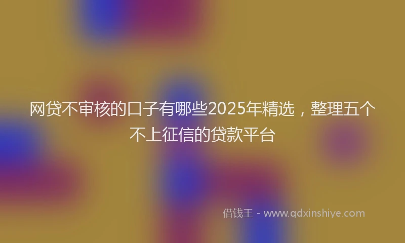 网贷不审核的口子有哪些2025年精选，整理五个不上征信的贷款平台