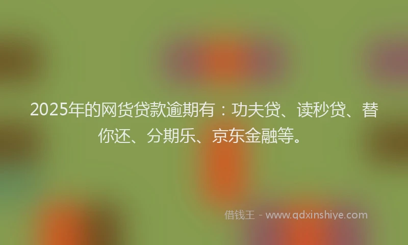 2025年的网货贷款逾期有：功夫贷、读秒贷、替你还、分期乐、京东金融等。