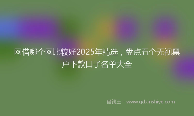 网借哪个网比较好2025年精选，盘点五个无视黑户下款口子名单大全