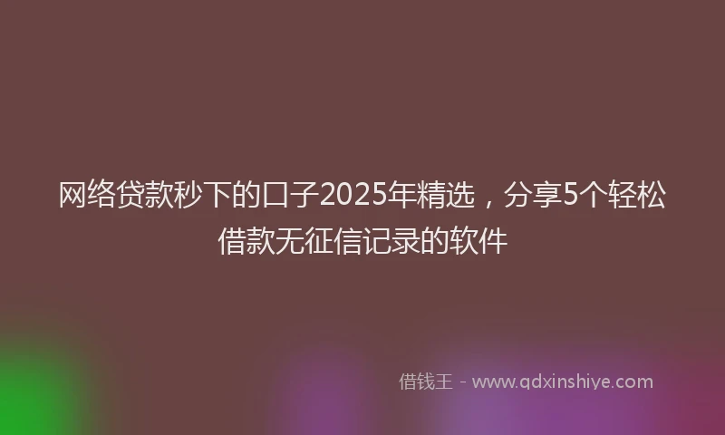 网络贷款秒下的口子2025年精选，分享5个轻松借款无征信记录的软件