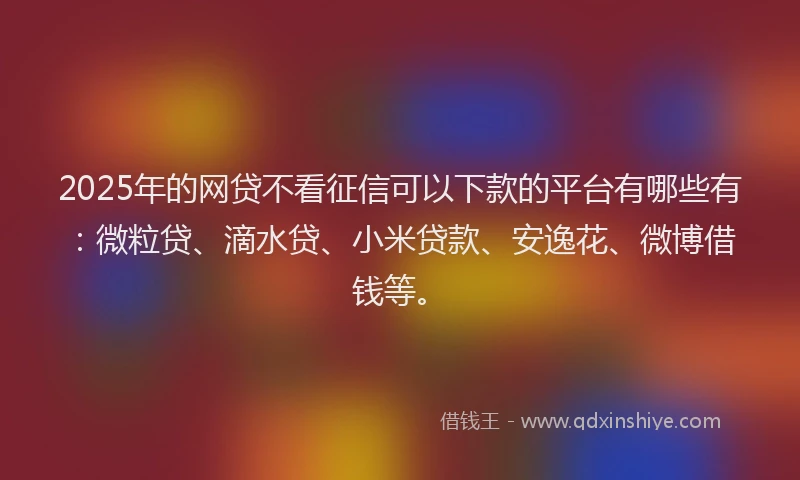 2025年的网贷不看征信可以下款的平台有哪些有：微粒贷、滴水贷、小米贷款、安逸花、微博借钱等。