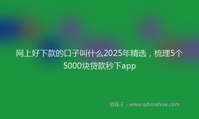 网上好下款的口子叫什么2025年精选，梳理5个5000块贷款秒下app