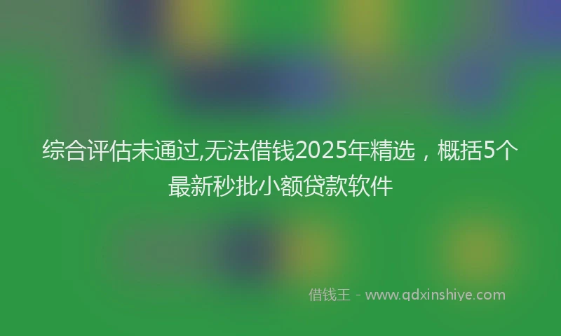 综合评估未通过,无法借钱2025年精选，概括5个最新秒批小额贷款软件