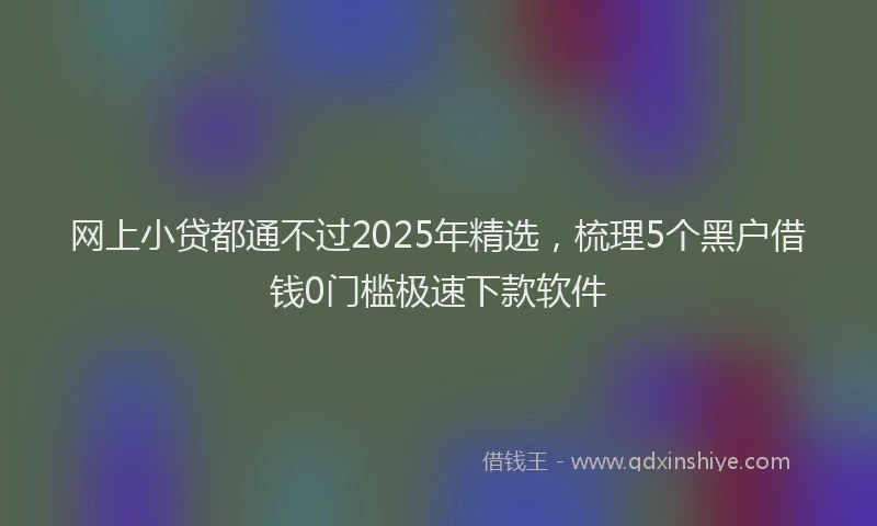 网上小贷都通不过2025年精选，梳理5个黑户借钱0门槛极速下款软件