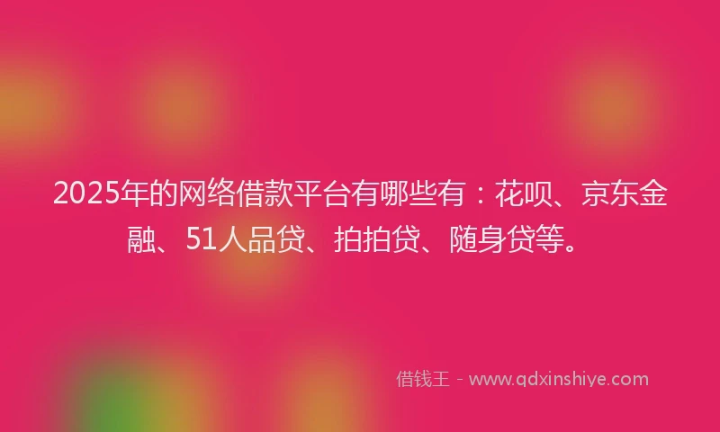 2025年的网络借款平台有哪些有：花呗、京东金融、51人品贷、拍拍贷、随身贷等。