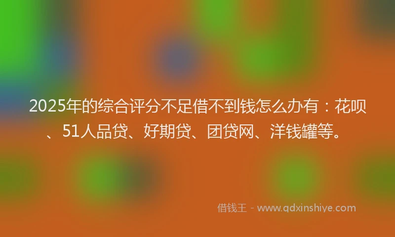 2025年的综合评分不足借不到钱怎么办有：花呗、51人品贷、好期贷、团贷网、洋钱罐等。