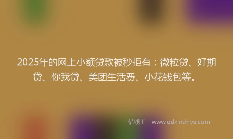 2025年的网上小额贷款被秒拒有：微粒贷、好期贷、你我贷、美团生活费、小花钱包等。