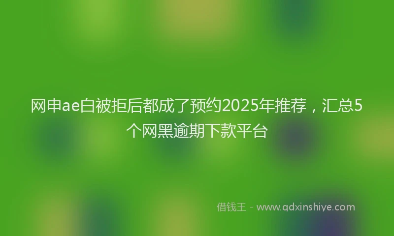 网申ae白被拒后都成了预约2025年推荐，汇总5个网黑逾期下款平台