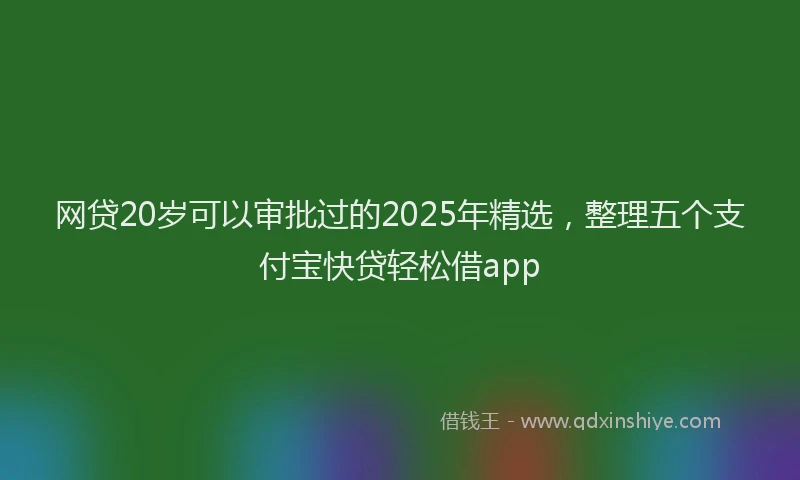 网贷20岁可以审批过的2025年精选，整理五个支付宝快贷轻松借app