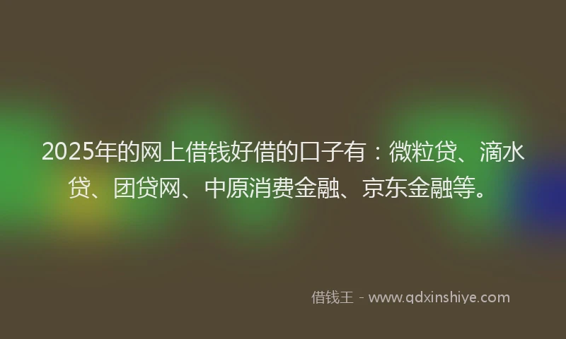 2025年的网上借钱好借的口子有：微粒贷、滴水贷、团贷网、中原消费金融、京东金融等。