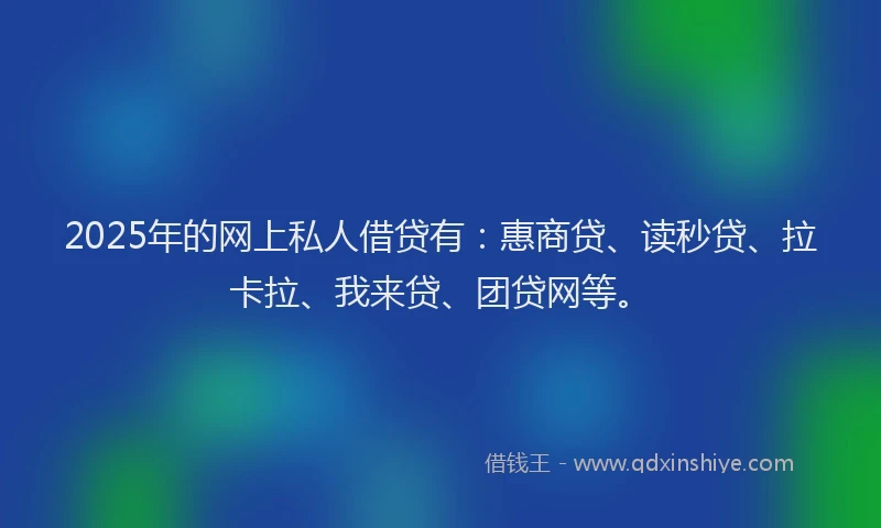 2025年的网上私人借贷有：惠商贷、读秒贷、拉卡拉、我来贷、团贷网等。