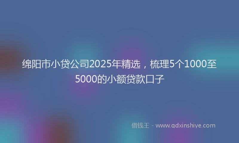 绵阳市小贷公司2025年精选，梳理5个1000至5000的小额贷款口子