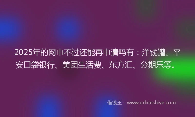 2025年的网申不过还能再申请吗有：洋钱罐、平安口袋银行、美团生活费、东方汇、分期乐等。