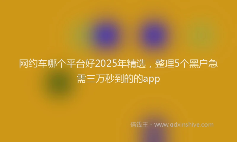 网约车哪个平台好2025年精选，整理5个黑户急需三万秒到的的app