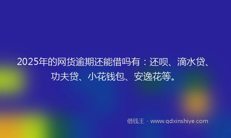 2025年的网货逾期还能借吗有：还呗、滴水贷、功夫贷、小花钱包、安逸花等。
