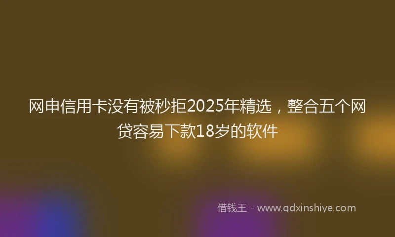 网申信用卡没有被秒拒2025年精选,整合五个网贷容易下款18岁的软件
