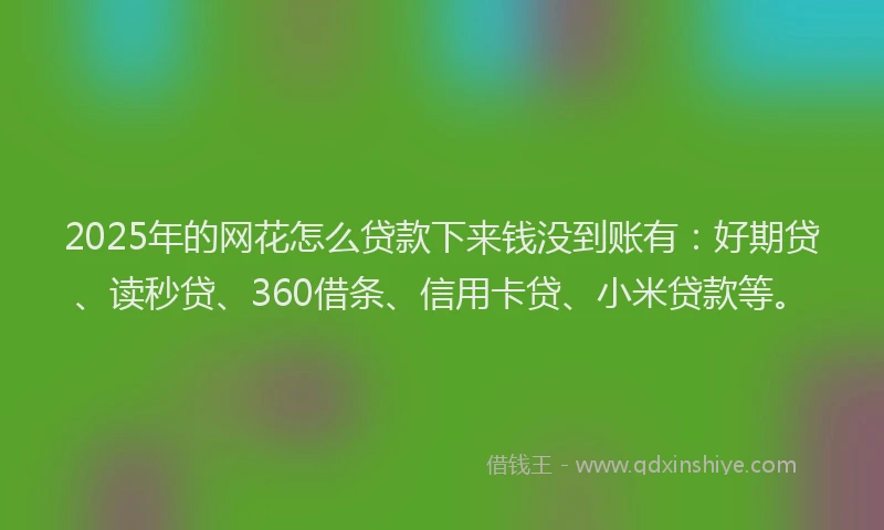 2025年的网花怎么贷款下来钱没到账有：好期贷、读秒贷、360借条、信用卡贷、小米贷款等。