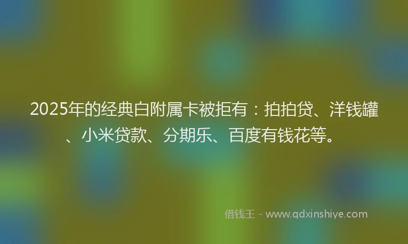 2025年的经典白附属卡被拒有：拍拍贷、洋钱罐、小米贷款、分期乐、百度有钱花等。