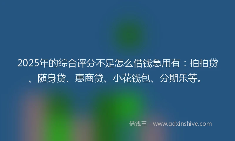 2025年的综合评分不足怎么借钱急用有：拍拍贷、随身贷、惠商贷、小花钱包、分期乐等。